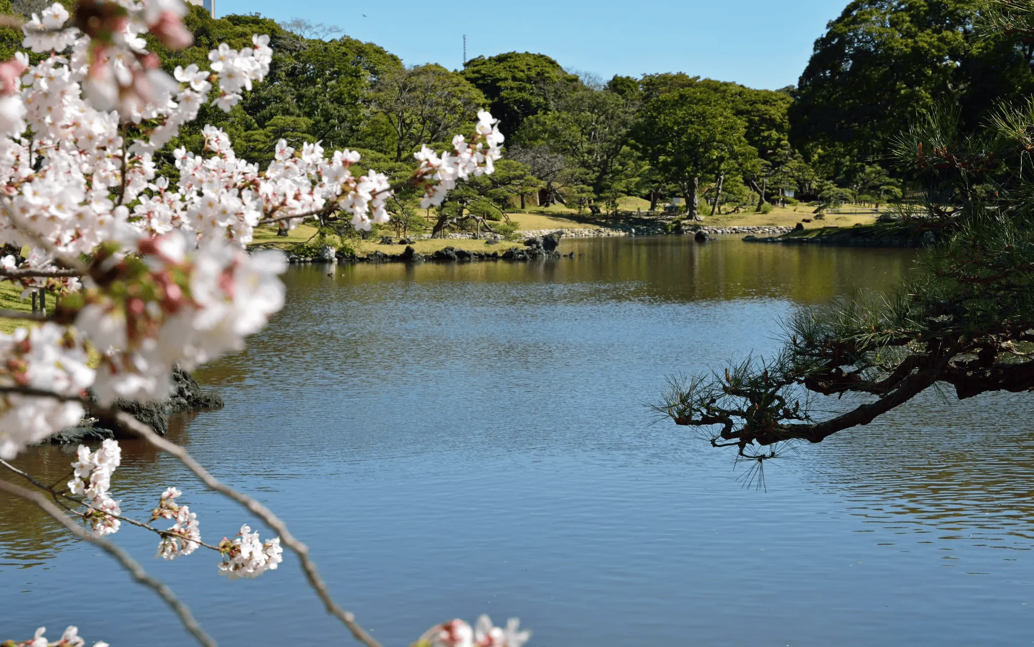 東京・關東・富士山・輕井澤精選景點